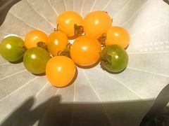 -苏帮袁Sue Cuisine(南开大悦城店)