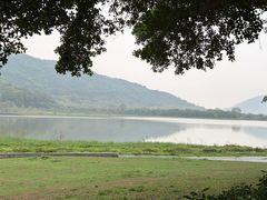 -风云岭森林公园