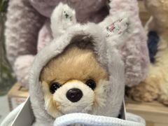-猫的天空之城概念书店(大学路店)