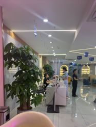 -碧莲盛不剃发植发