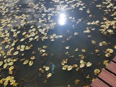 -御道口草原森林风景区