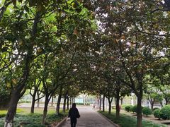 -上海大学(宝山校区)