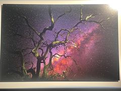 -罗红摄影艺术馆