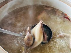 五指毛桃药膳鸽-鸽鸟轩(石岐店)