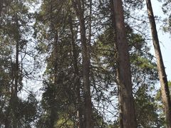 -苍山感通索道