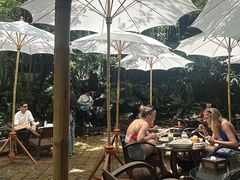 -Fern Forest Cafe