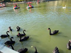 -新疆天山野生动物园