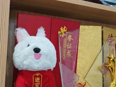 -东莞宠友24H宠物中心医院·转诊夜诊·异宠(新河北路院)