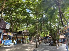 -海南分界洲岛旅游区