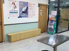 -中农大我爱我爱动物医院·核磁CT·猫病·24小时夜诊中心(石佛营店)
