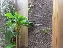 -芳朵美容养生SPA