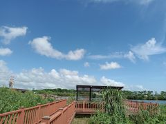 -芒洲湿地公园