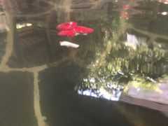 -昆明柏联SPA温泉
