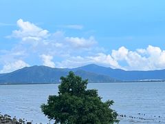 -深圳湾公园(南山区)