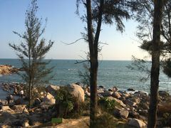 -广东惠东海龟国家级自然保护区