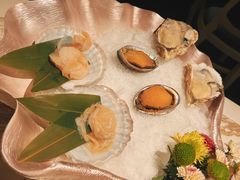 -汤城·料青山