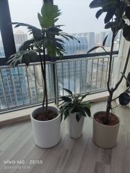 -HEYAN荷妍专业脱毛连锁机构