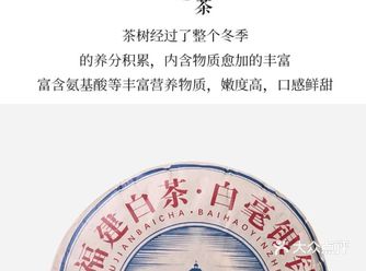 白茶分享——23 年白毫银针