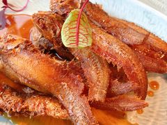 -大连君悦酒店·星海湾壹号Dalian·Dalian(星海广场店)
