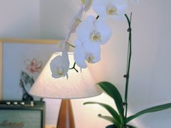 -本無咖啡·BeanWood Coffee