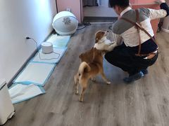 -浣熊柯尔鸭土拨鼠·电玩咖