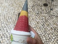 -柠檬车露(卖草地店)