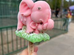 -秦皇岛野生动物园