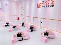 -桃子公主舞蹈培训(万柳校区)