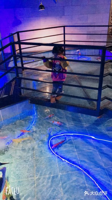 未来动物城主题公园(正弘城店)图片