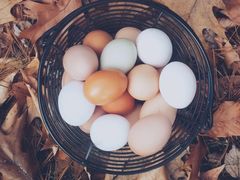 -吃饼人西餐(南开店)