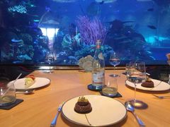 餐后甜点-迪拜帆船酒店海底餐厅