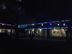 -枫花园汽车电影院(朝阳公园店)