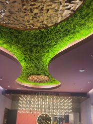 -花隐·美芙炫海菲秀皮肤管理中心