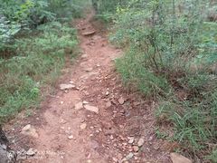 -北京西山国家森林公园