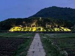 -八卦田遗址公园