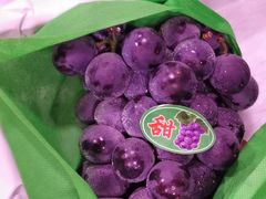 -四季果园(先威路店)