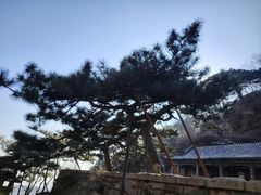 -泰山风景名胜区