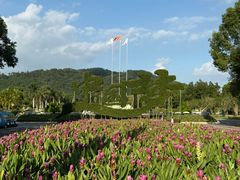 -东南花都花博园