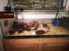 -甜心闲生传统手工冰粉(奎星楼店)