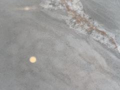 -顺徕德·仙庙烧鸡(桂庙路店)