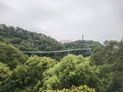 -金鸡山公园