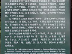 -深圳湾公园(南山区)