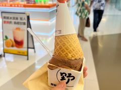 -野人先生现做冰淇淋(北京王府井东方新天地店)