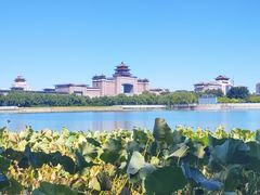 -莲花池公园