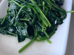 时令蔬菜-云中小雅
