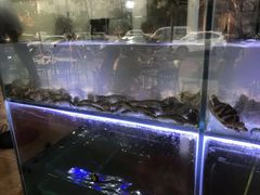 -海之鲜大排档(东山海鲜金銮湾店)