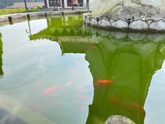 -钟鼎寺