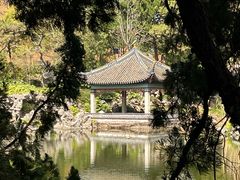 -叶家花园