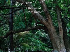 -宝岩生态观光园