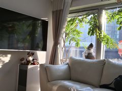 -精德口腔·种植修复·儿牙中心(财富中心店)